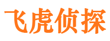 西湖侦探公司